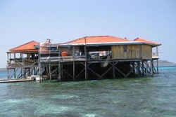Melihat Penangkaran Penyu di Tanjung Bira