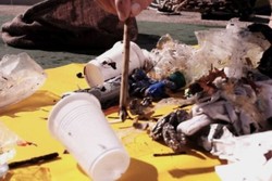 Kalahkan Jumlah Ikan, Sampah Plastik Diprediksi Penuhi Lautan di Tahun 2050