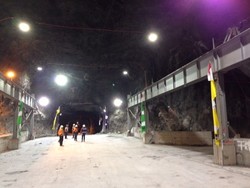 Freeport Belum Setor US$ 530 Juta Syarat Izin Ekspor Konsentrat