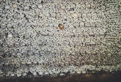 Gereja di Jerman yang Menyimpan 20 Ribu Tulang