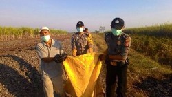 Kejam! ABG di Cirebon Bunuh Kekasih dengan Membiarkan Tergilas Kereta
