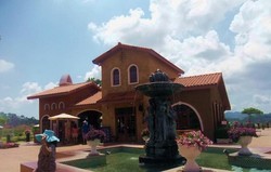 Yang beda di Thailand, Wisata ke Kebun Anggur