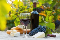 Kebiasaan Unik Minum Wine dari Argentina hingga Israel (2)