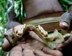 Sisa-sisa Suku Kanibal di Samudera Pasifik