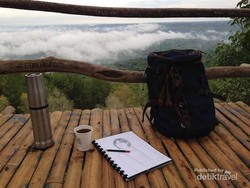 Libur Imlek ke Yogyakarta, Mampir ke Rumah Pohon Pinus Yuk!