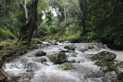 Lebih Dekat dengan Alam di Kelok Inang-inang Aceh