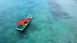 Nelayan di lautan yang hijau