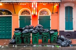 Sampah Makanan Menumpuk, Populasi Tikus di Roma Meningkat