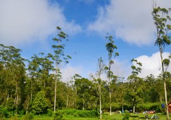 Traveling for learning