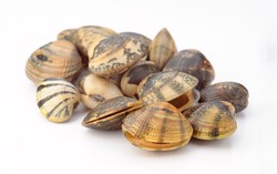 Agar Empuk Gurih, Rebus Kerang dengan Cara Ini