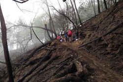 Mengenang Pendakian Terakhir Sebelum Semeru Ditutup