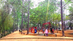 4 Tempat di Jakarta Untuk Ungkapkan Cinta