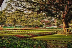 Hijau dan Indah, Ini Makam Tentara Sekutu di Ambon