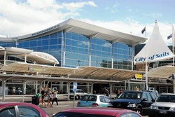 Selundupkan Kotoran Sapi, Traveler Ditahan di Bandara Selandia Baru