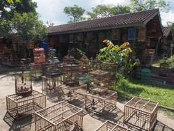 Menikmati Merdunya Kicauan di Pasar Burung Yogya