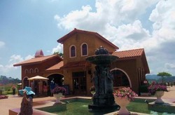 Wisata ke Kebun Anggur Silverlake di Thailand