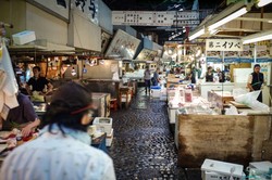 Serangan Tikus Hitam Membuat Pasar Ikan Tsukiji Terpaksa Dipindah
