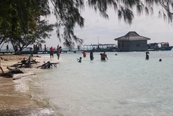 Menyambut Tahun 2016 di Pulau Semak Daun