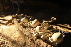 Tengkorak Tana Toraja