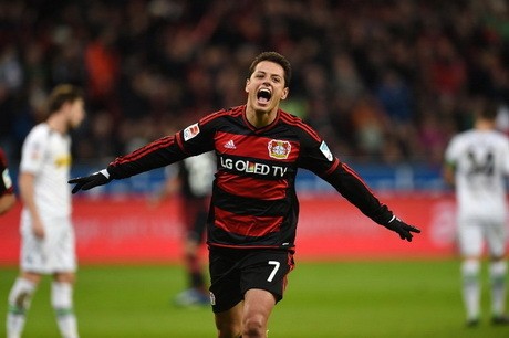 Leverkusen Takkan Lepas Chicharito