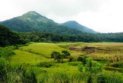 Padang Rumput yang Indah di Gunung Papandayan