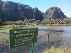 Barisan Bukit Kapur Mempesona di Rammang-rammang