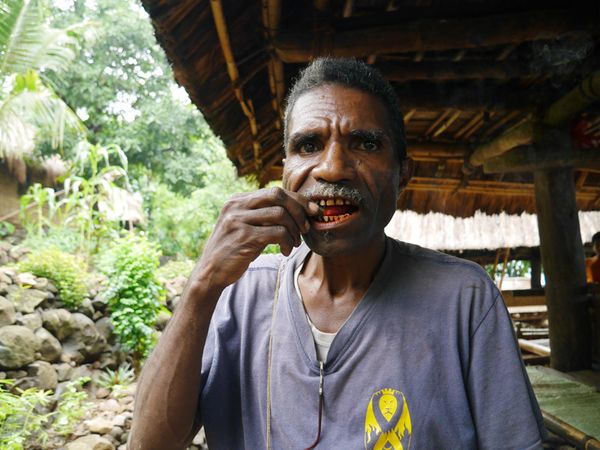 Buah Pinang, Rahasia Gigi Kuat Orang Alor