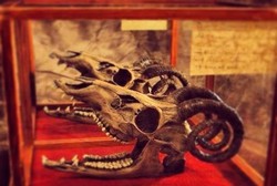 Museum di AS Simpan Koleksi Aneka Barang Berhantu dan Misterius