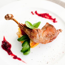 Juri Masterchef Italia Dilaporkan ke Polisi karena Memasak Burung Dara