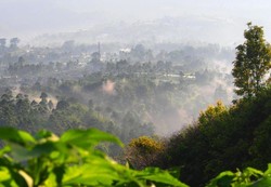 Berselimut Kabut di Tebing Keraton