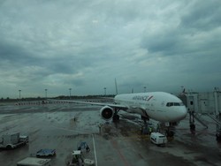 Makin Gila, Penumpang Pesawat Bisa Selundupkan Anak Kecil di Tas