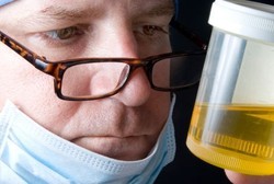 Urin Sapi Dijual Dalam Kemasan di London