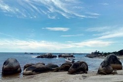 Laskar Gerhana Dibuat Terpesona di Pantai Tanjung Tinggi, Belitung