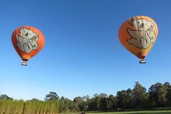 Catat! 5 Tips Naik Balon Udara di Australia