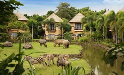 Ngeri-ngeri Seru, Menginap Bareng Hewan Liar di Bali