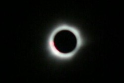 Perjalanan dari Depok ke Ternate Demi Berburu Gerhana