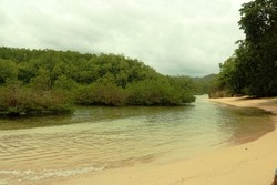 Ssst, Ada Pantai Perawan untuk Berenang di Pacitan