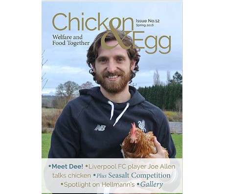 Ayam-Ayam Joe Allen