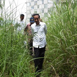 Pekan Depan, Menpora Bahas Nasib Hambalang Bersama Presiden