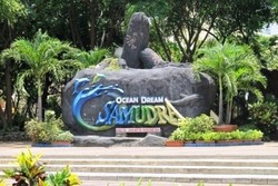 WWF Indonesia Bantah Terkait Acara Lumba-lumba di Ocean Dream Samudra