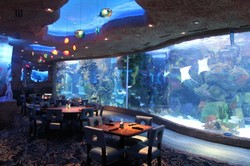 Asyiknya Menikmati Sajian Seafood Mewah di Restoran Bawah Laut Dunia (1)