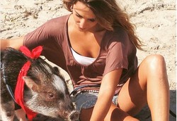 Bikin Iri! Babi Ini Traveling dengan Wanita Cantik