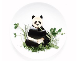 Fotografer Ini Buat Potret Panda dan Winnie the Pooh dari Sisa Makanan