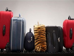 Ini yang Bisa Kamu Lakukan Saat Kelebihan Bagasi