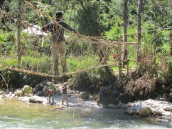 Jembatan Rotan dan Kayu Nan Menegangkan di Rimba Papua