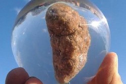 Idih! Ada Museum Feses di Inggris