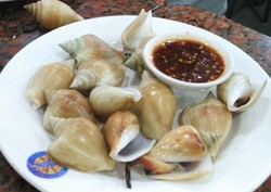 Gonggong, Kuliner Khas Batam yang Sedap