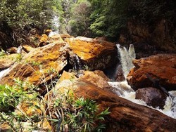 Masuparia, Surga Tersembunyi di Kabupaten Kapuas