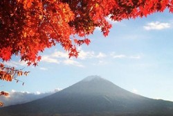 Terpesona Keindahan Musim Gugur di Kawaguchiko, Jepang