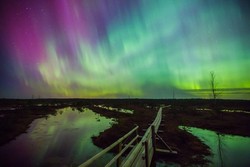 Rawa Latvia Simpan Keajaiban di Musim Dingin